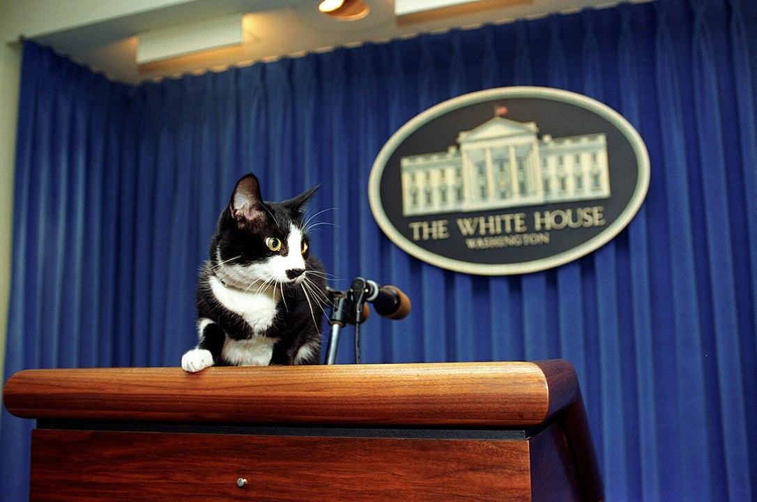 Socks the cat at the Clinton White House 1993