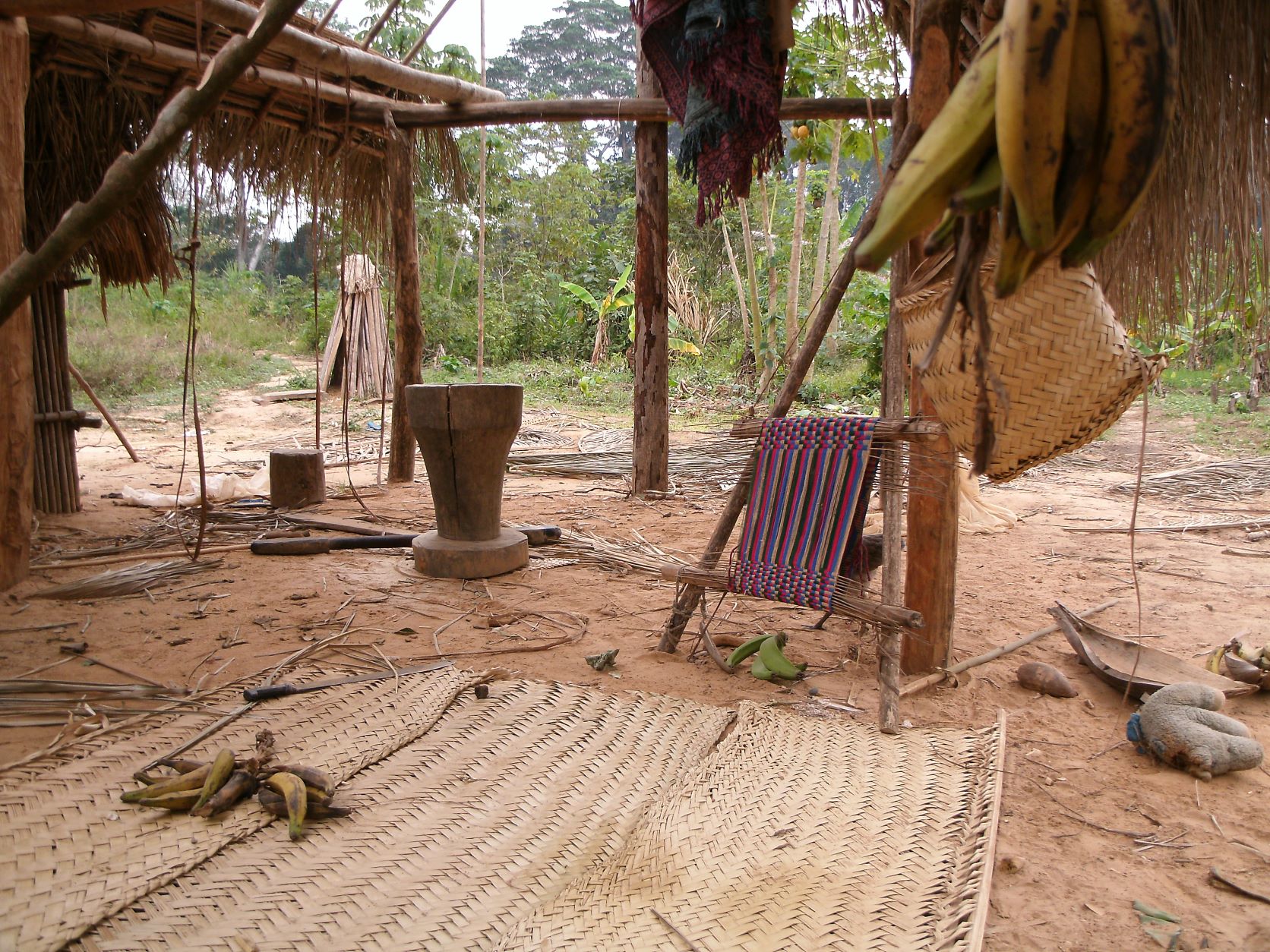 Typical Tsimane house