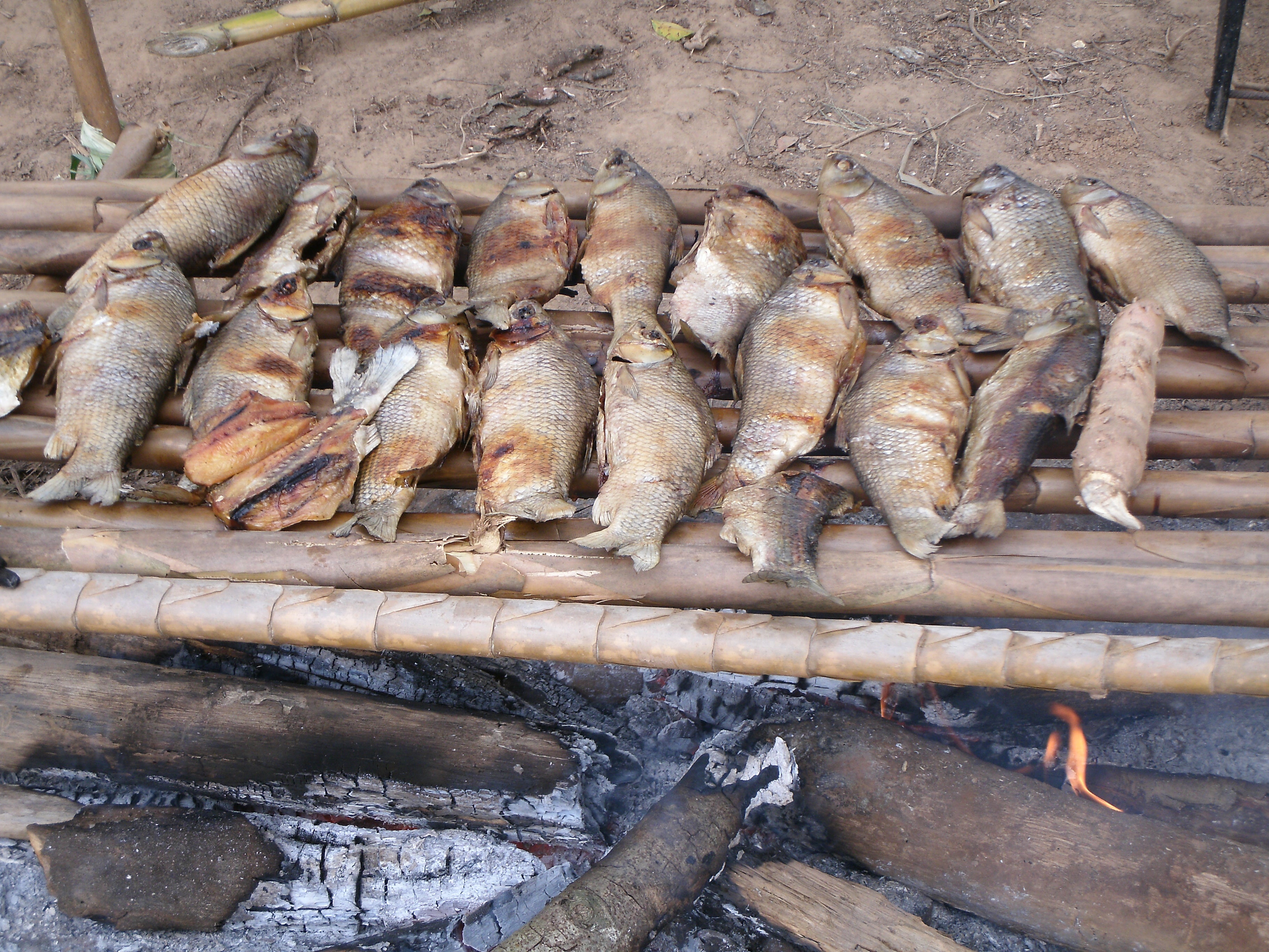 photo of fish smoking over a fire pit