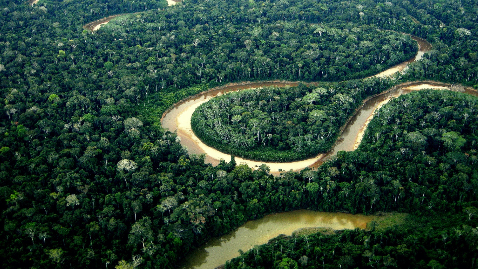 Amazon rainforest