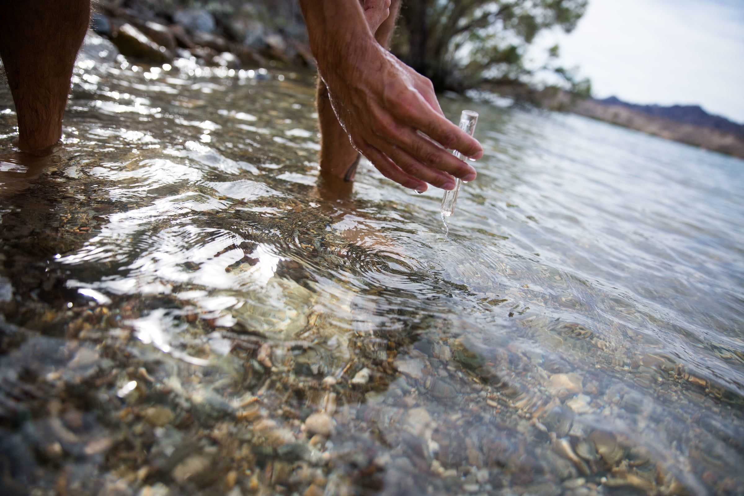 Hand grabbing water sample from lake