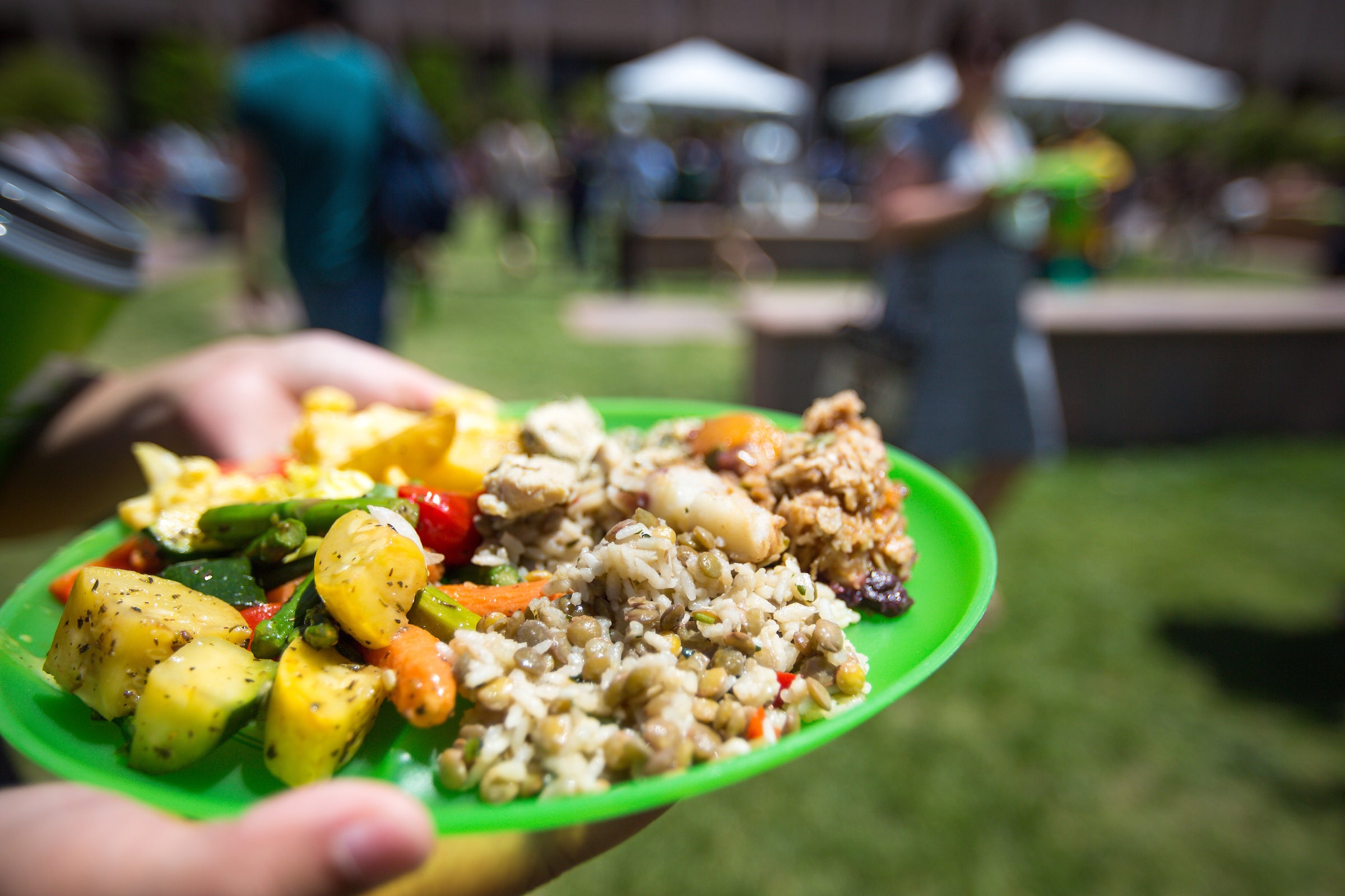 hands holding plate of food