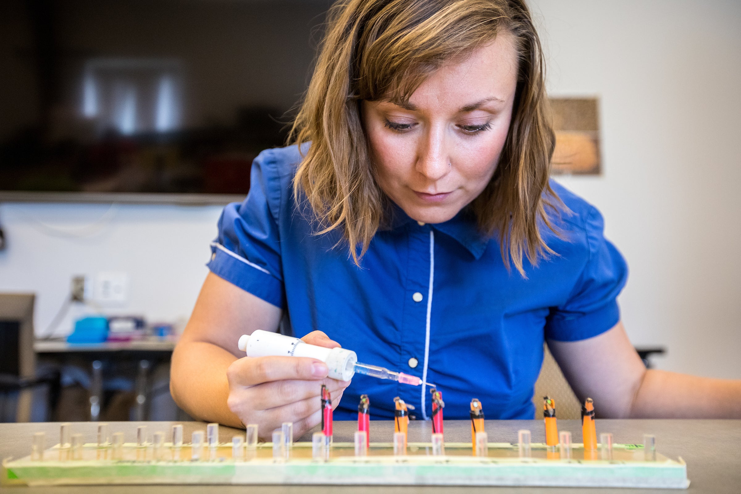 Dr. Chelsea Cook studying bees at ASU