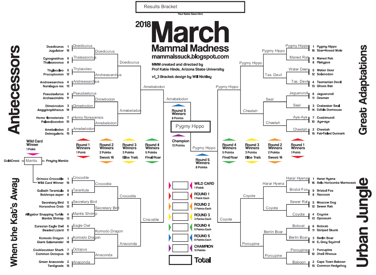 2018 MMM Results Bracket