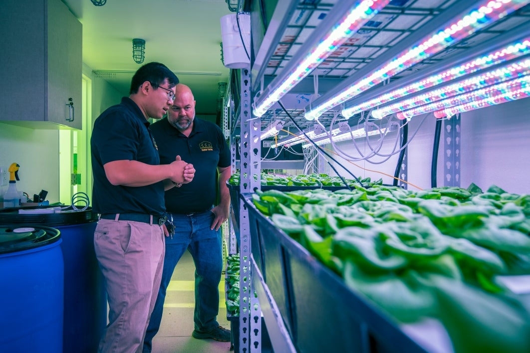 Zhihao Chen and Chad Geelhood inside vertical farm at ASU