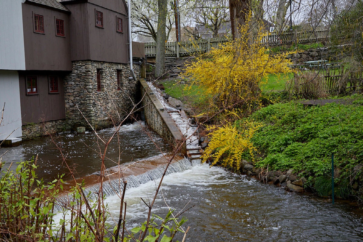 Town Brook, Plymouth, Massachusetts