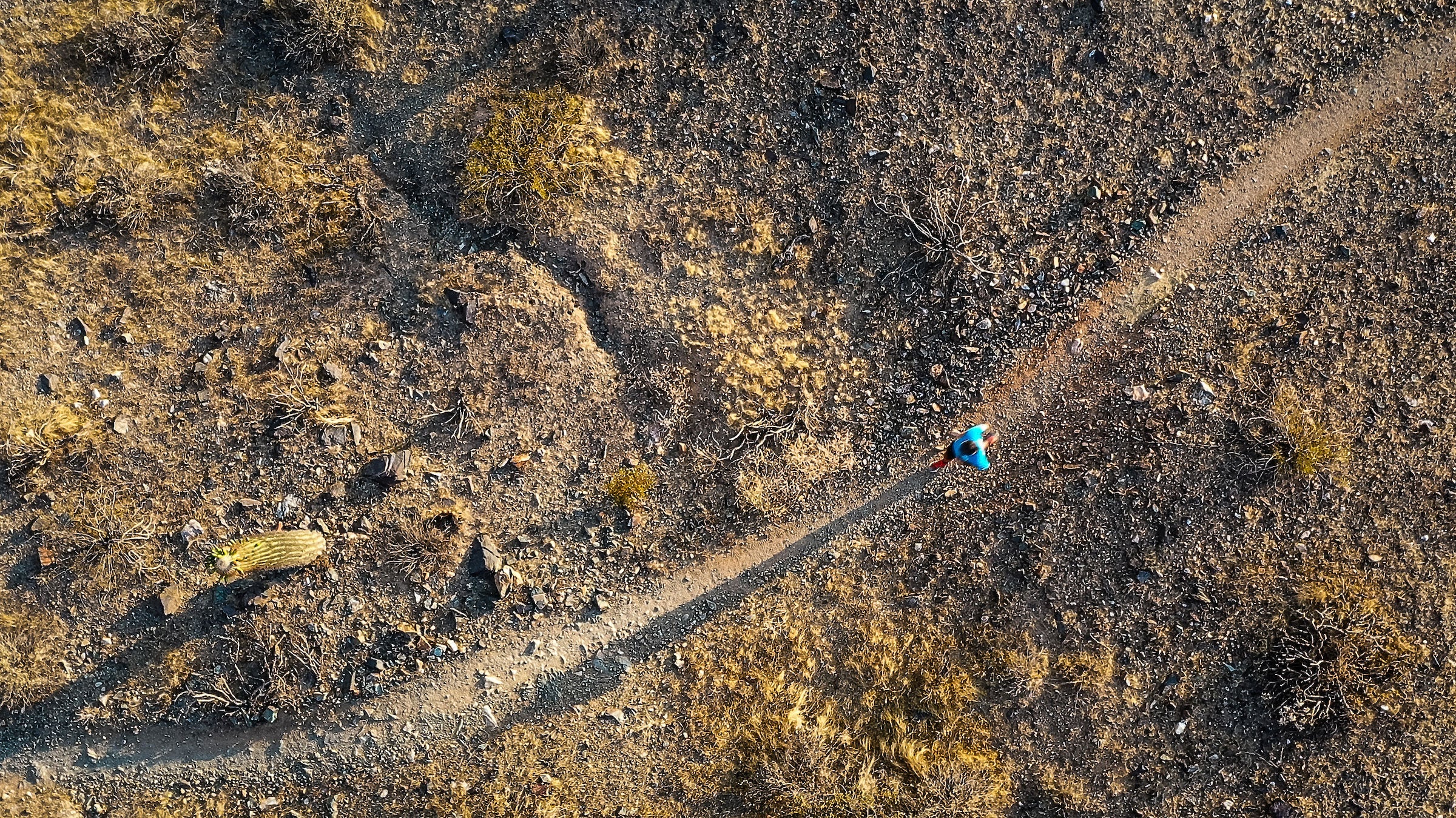 overview of man running on trail