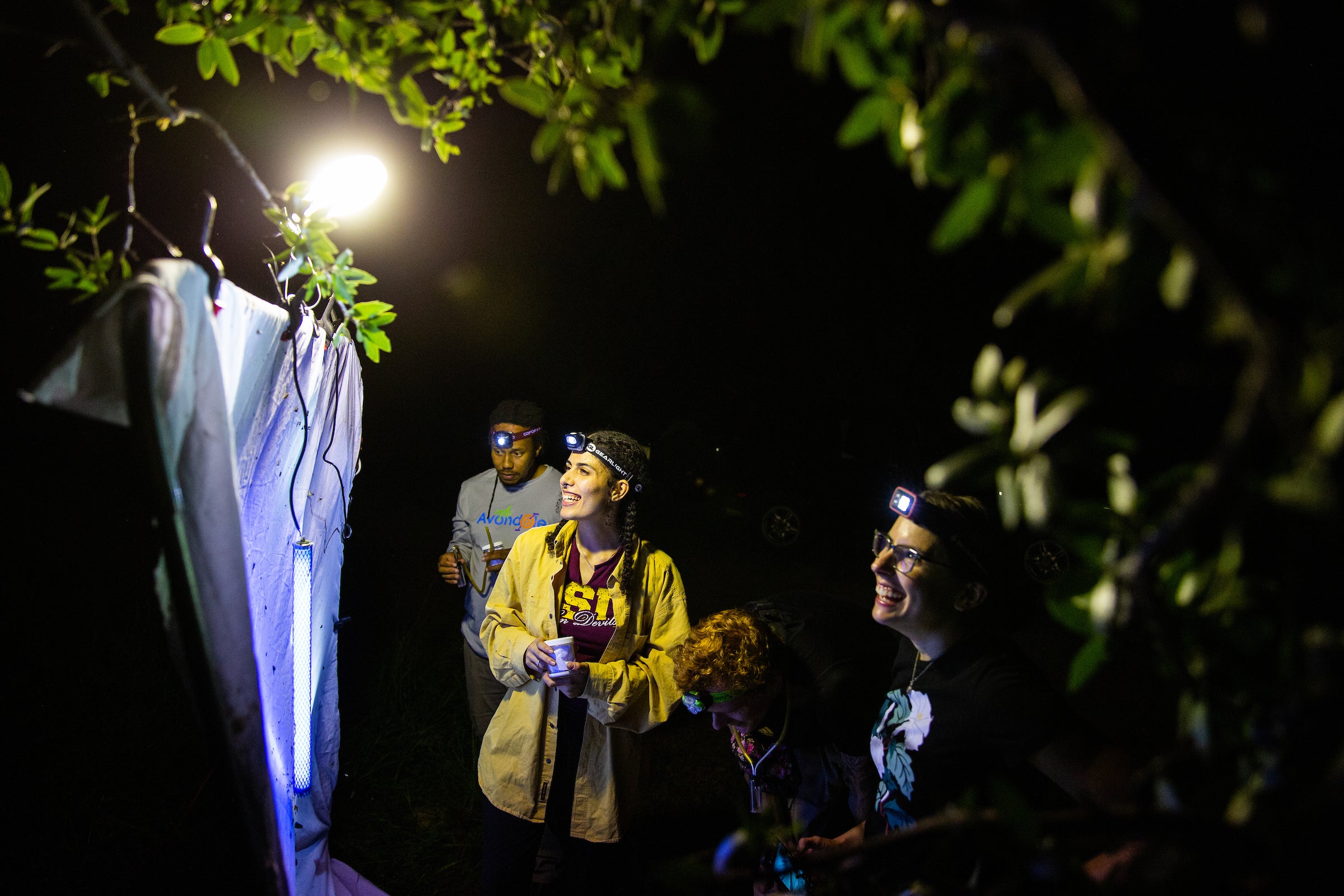 students collect under the lights