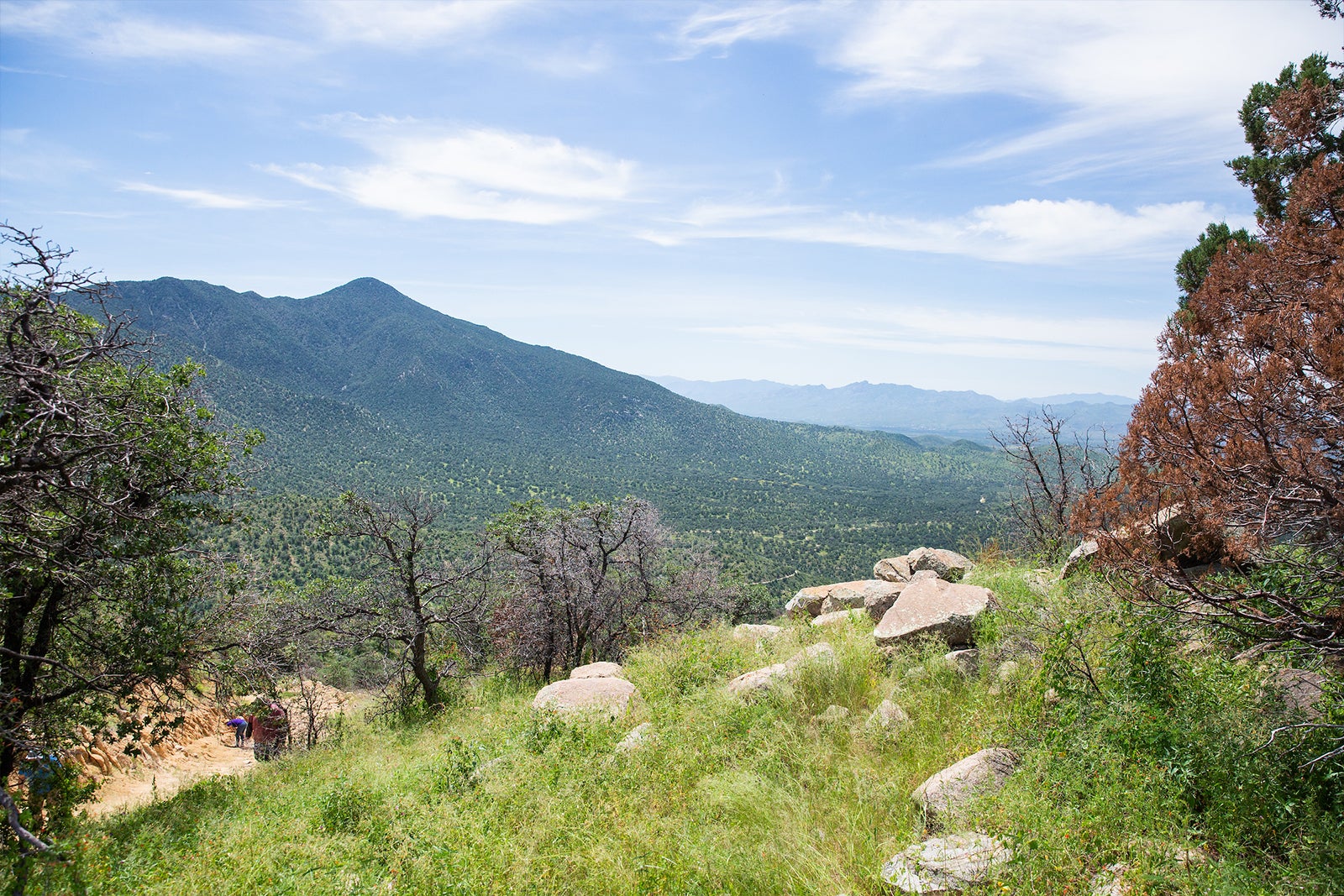 mountain top