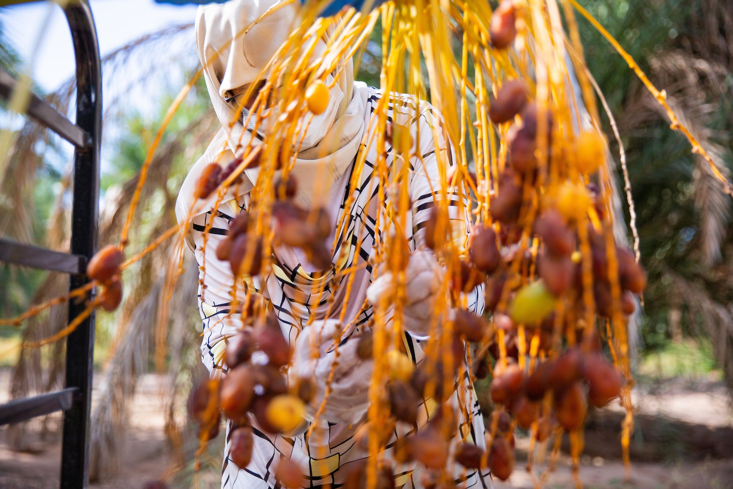 woman behind date branch