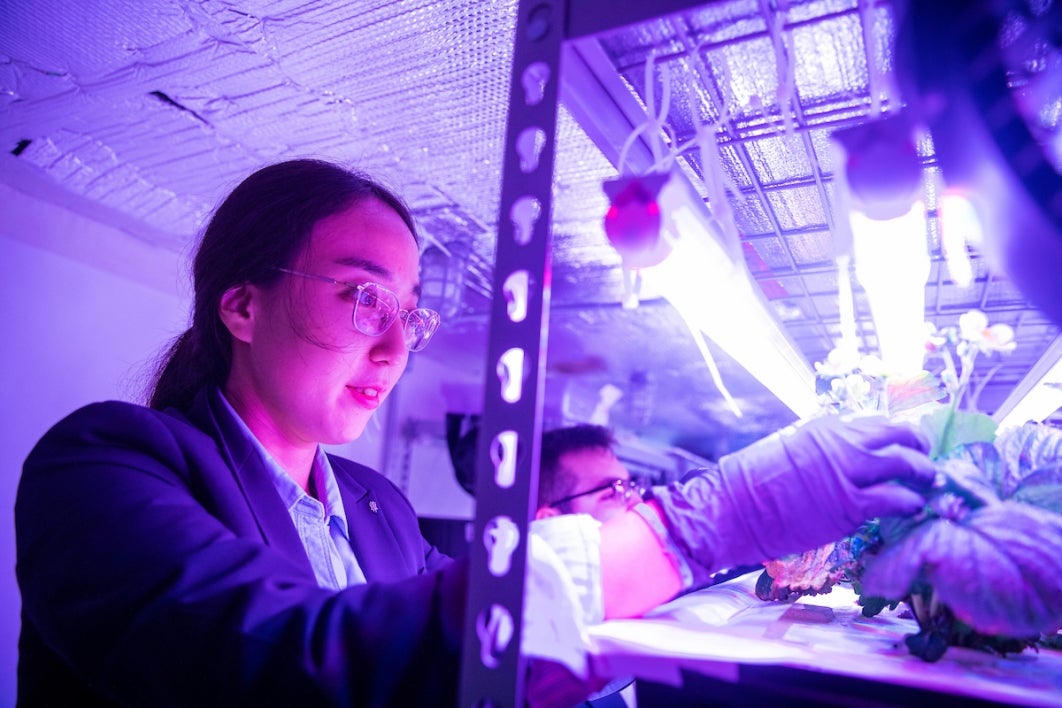 ASU professor Yujin Park in a vertical farm