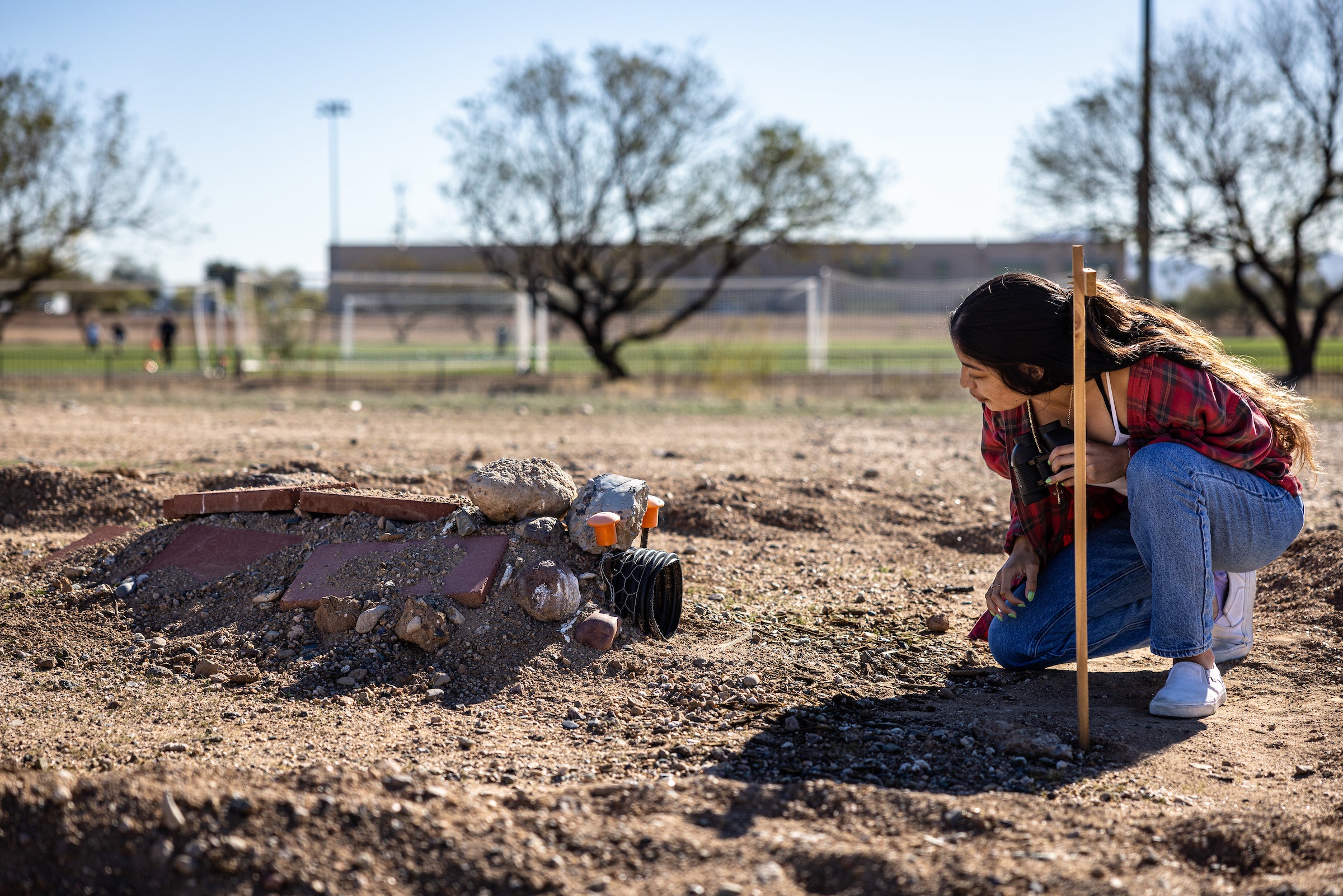 student crouching in field looking into burrowing owl habitat