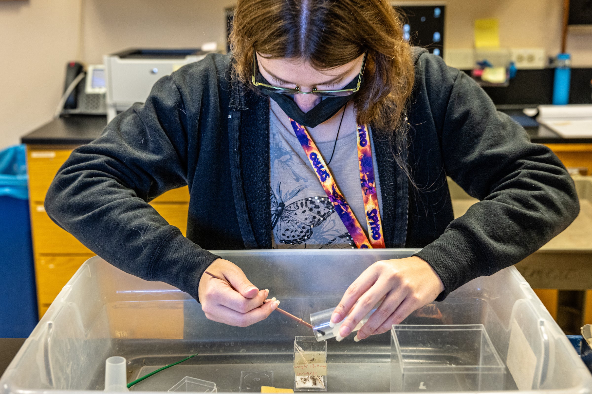 student feeds flies to spiders in a plastic container