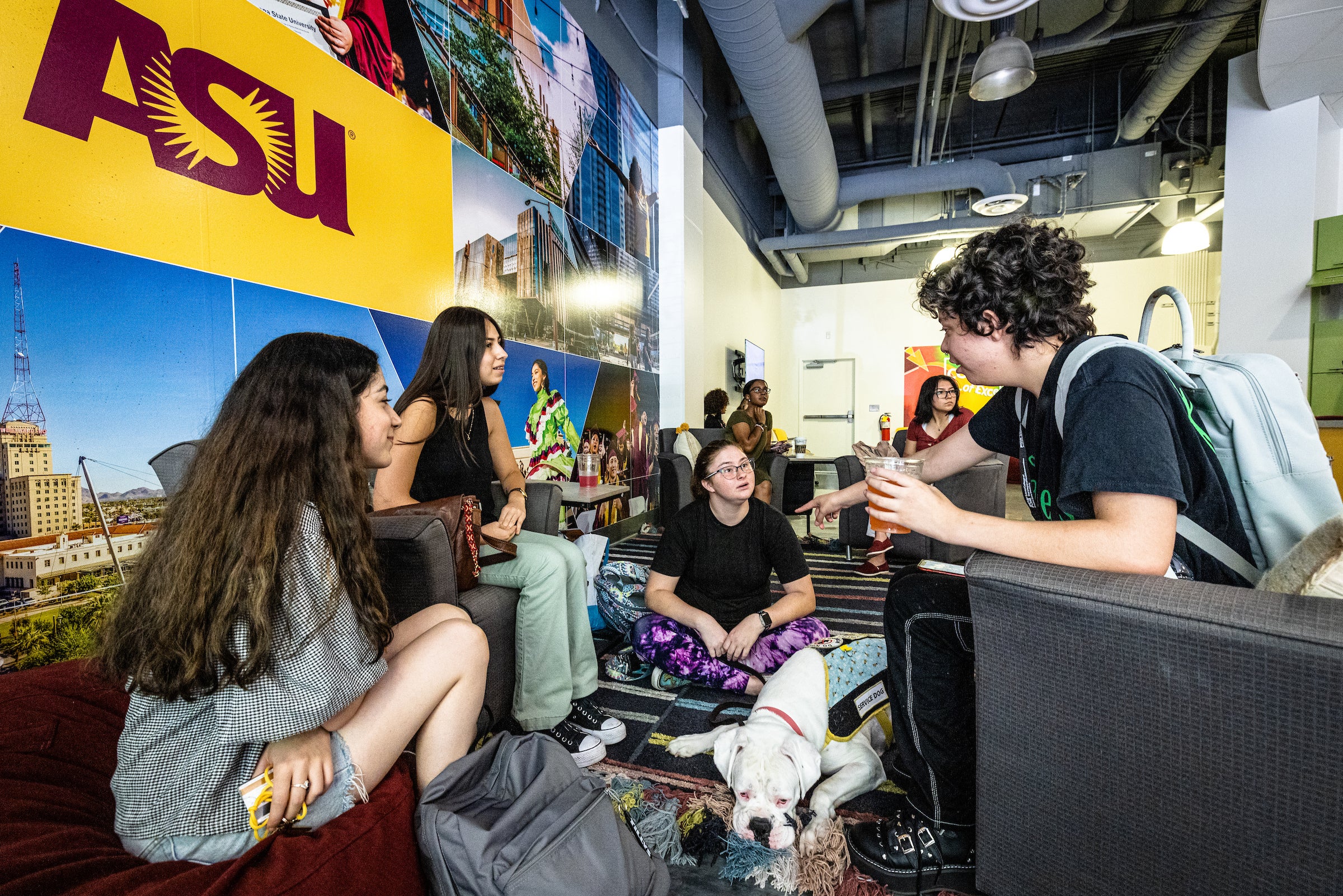 Group of students sitting around chatting with a guide dog lying in the center