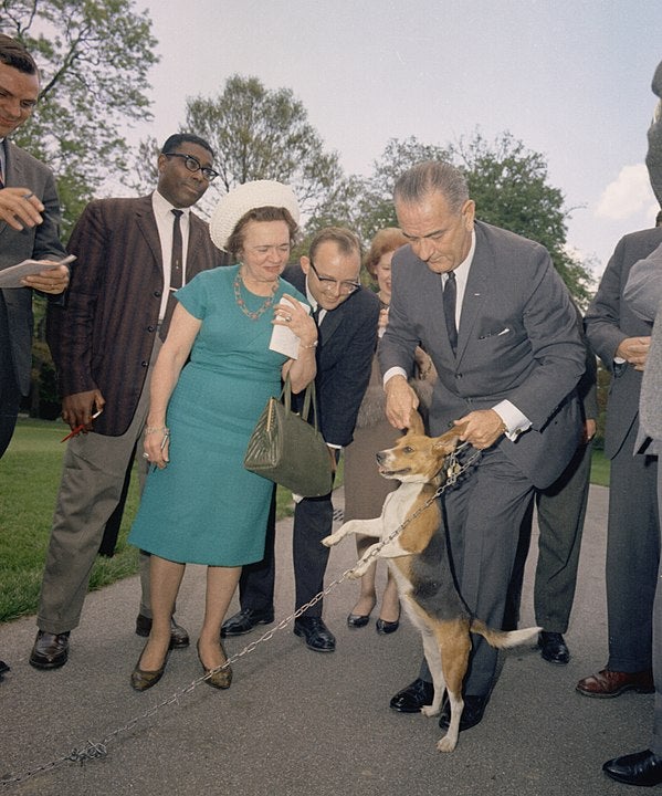 Lyndon Johnson lifting dog by ears