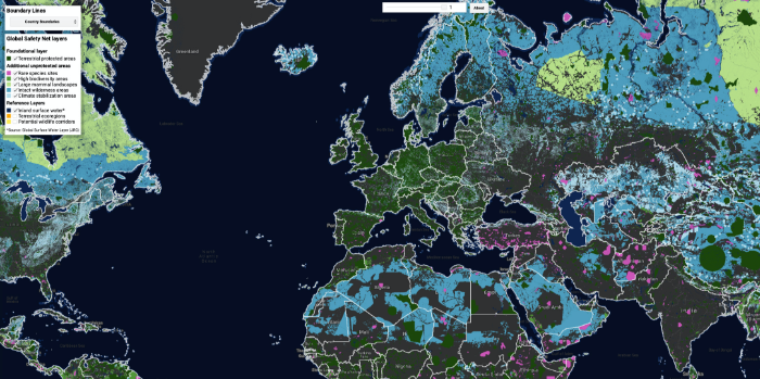 Global Safety Net