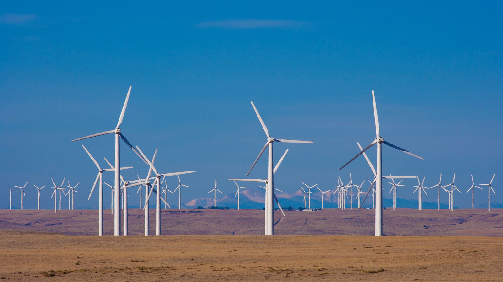 wind farm