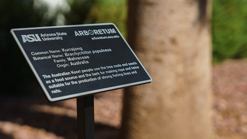 ASU arboretum