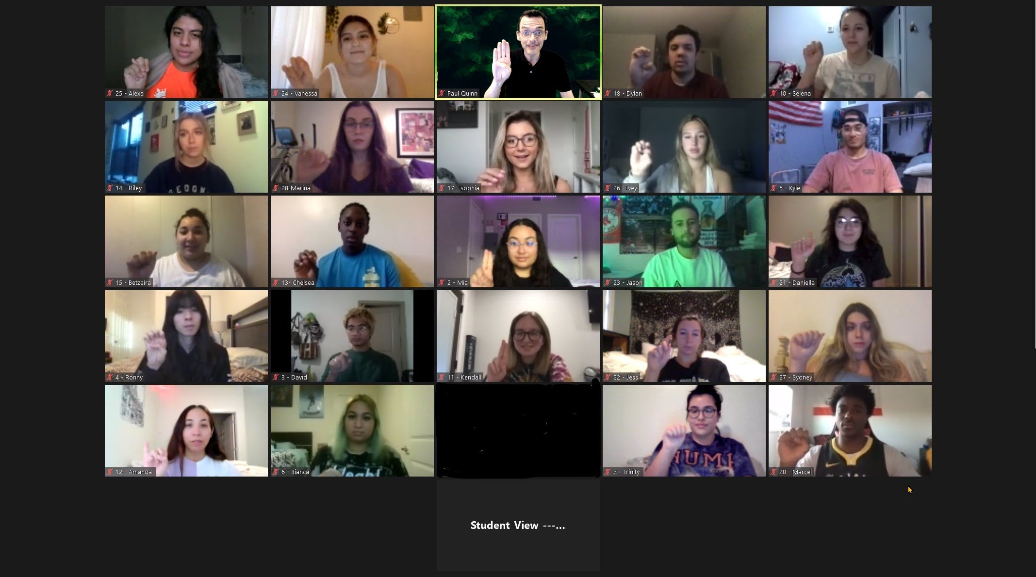 Students in ASL Lecturer Paul Quinn's American Sign Language I class practice fingerspelling sentences to improve their skills. Each student is represented by a small square video feed. The videos are arranged in a grid across one of Quinn's monitors.