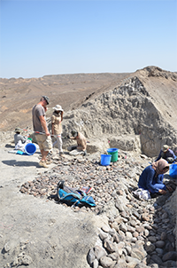 Excavation site