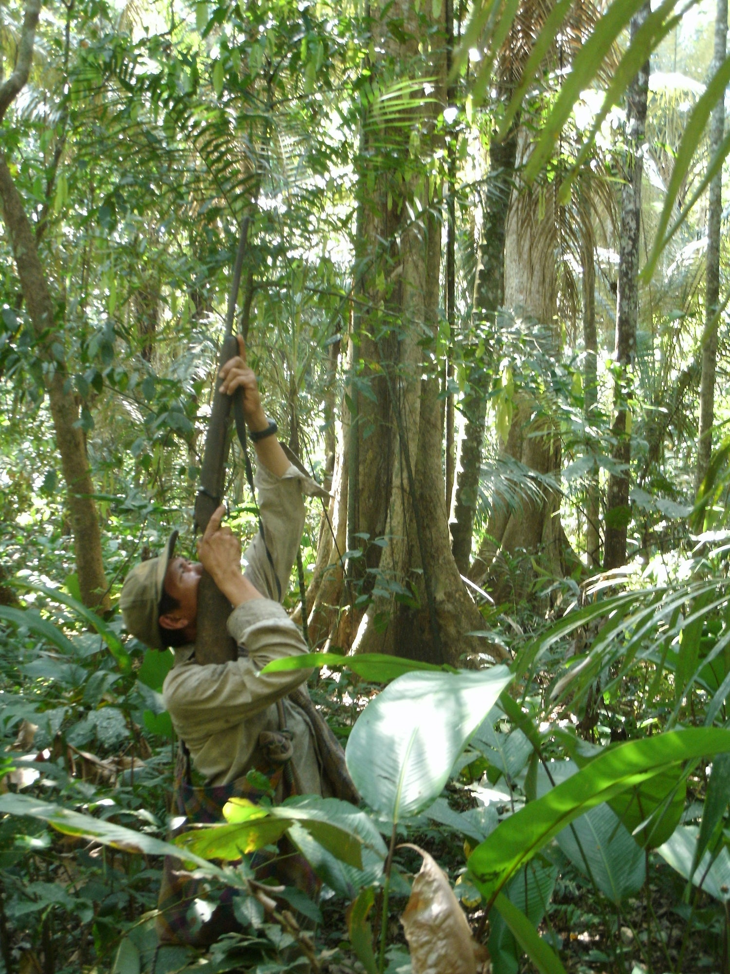 Tsimane hunter