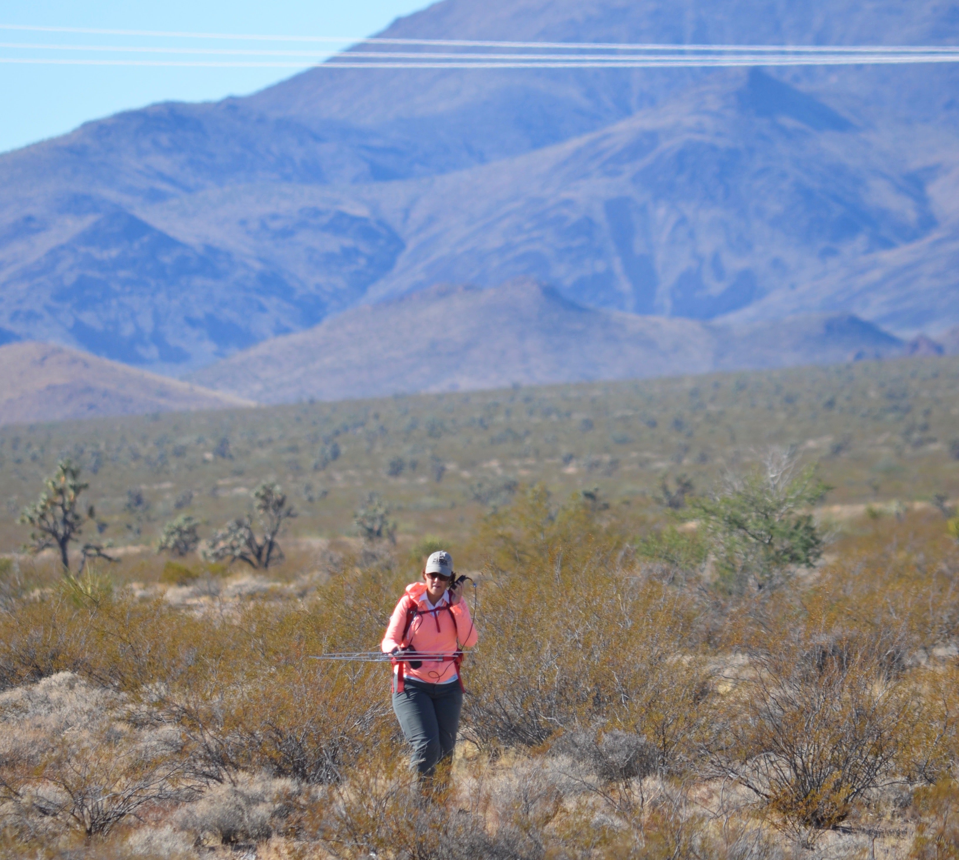 woman monitoring desert