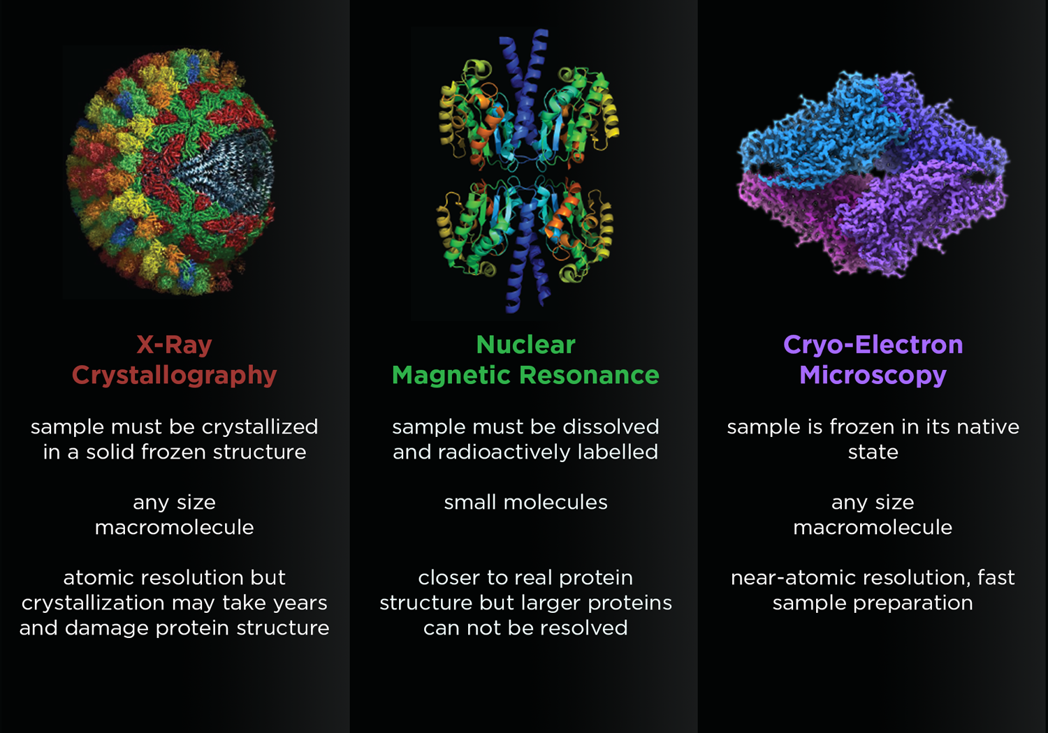 Bioimaging graphic