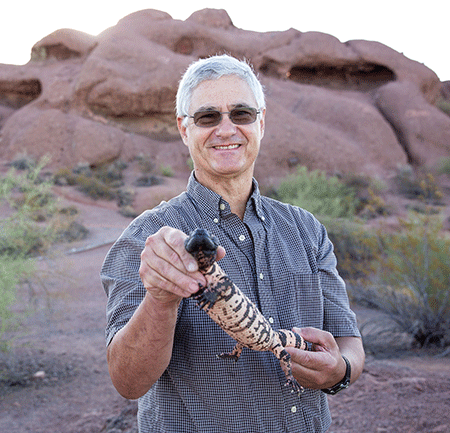 ASU Associate Professor Dale DeNardo with a Gila monster