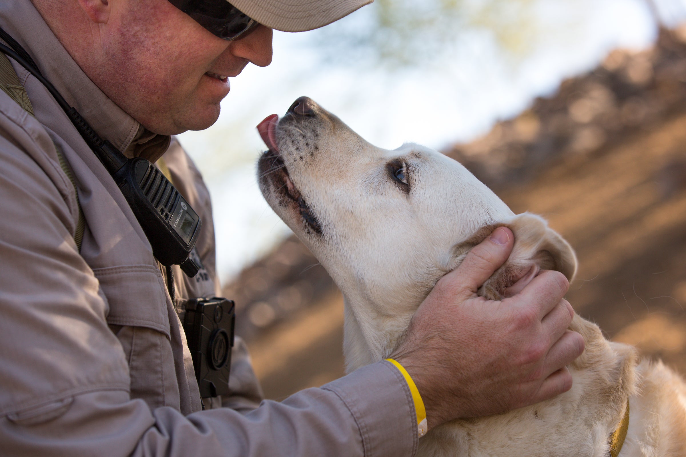 Man petting dog