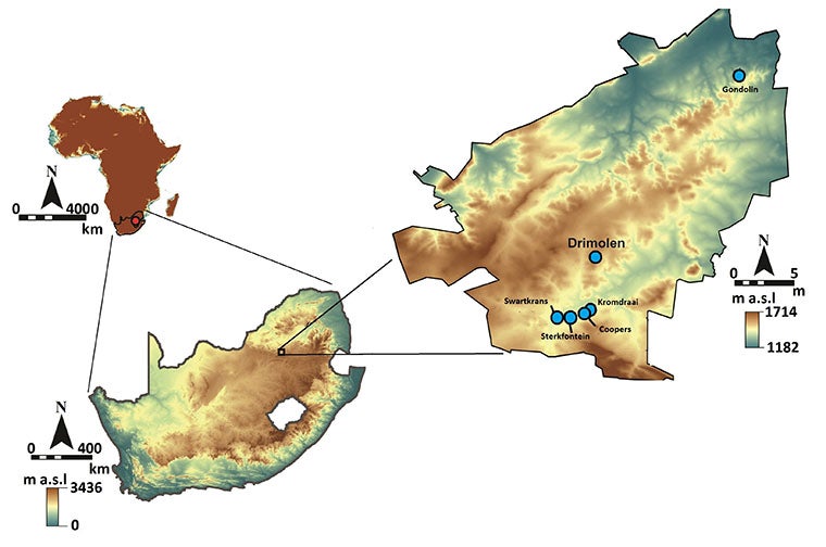 Drimolen map