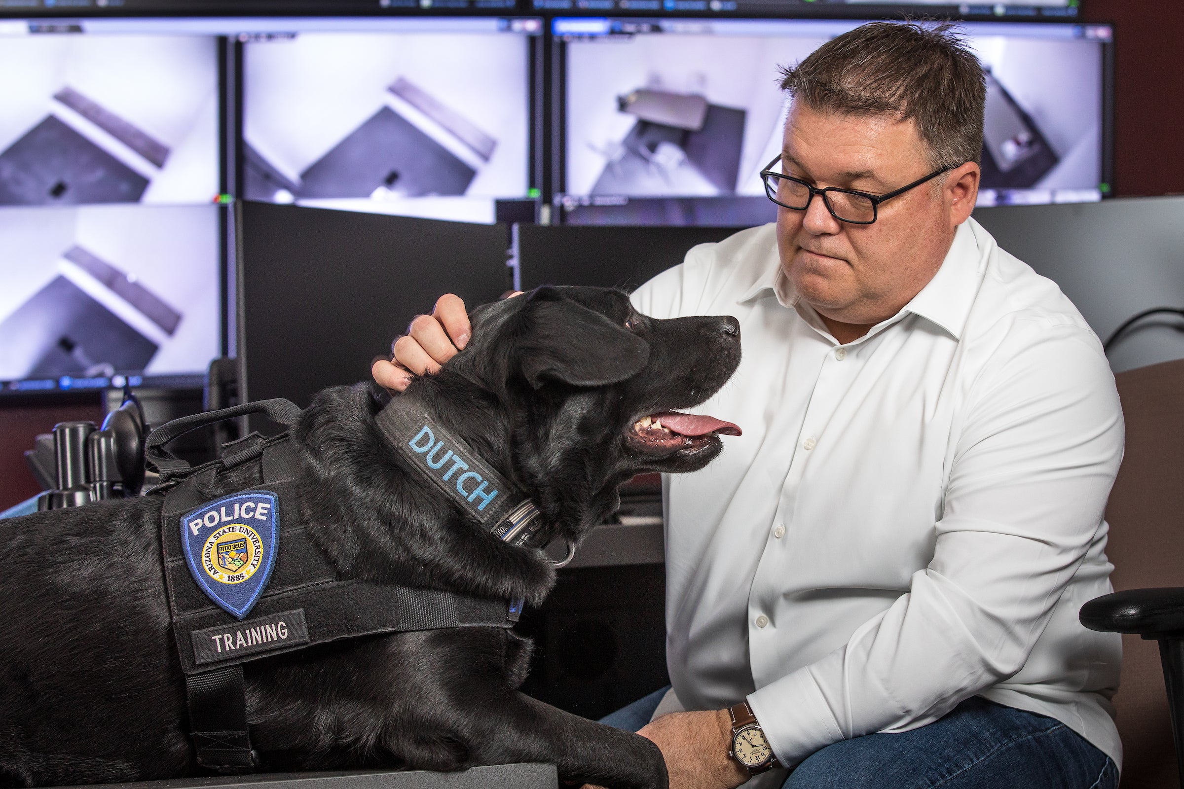 Man petting black lab