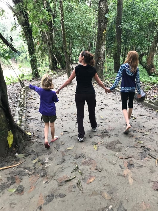 People walking in a rainforest.