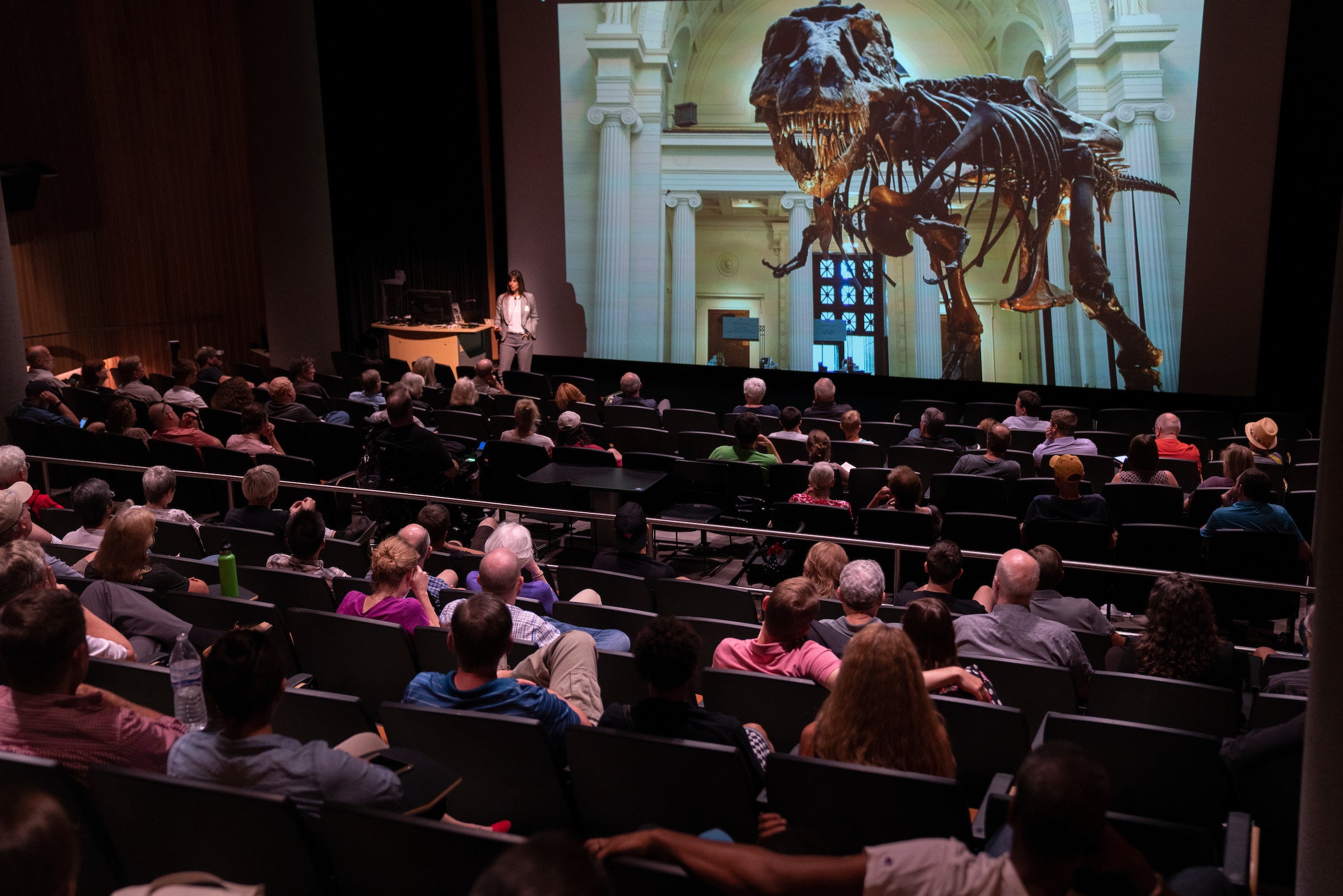 New Discoveries lecture on meteorites