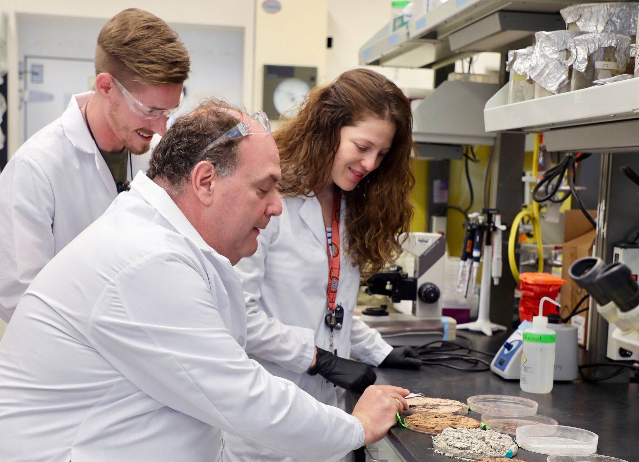 people working in lab