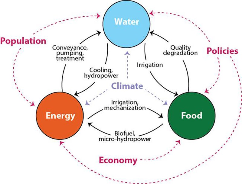 flow chart