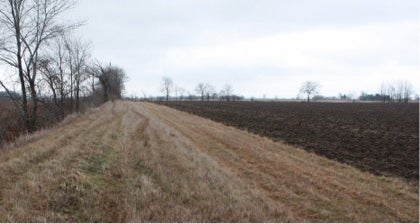 Agricultural fields near Maumee River, U.S.A.