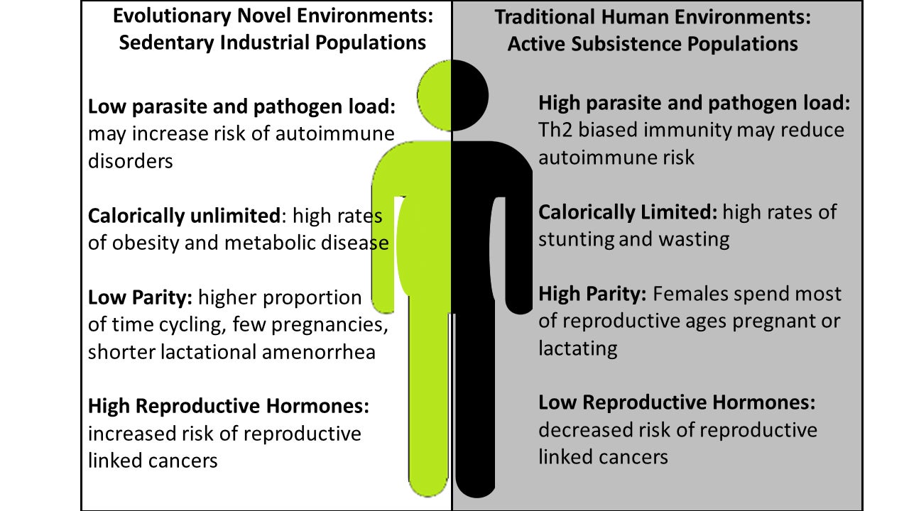 sexual differences in disease diagram