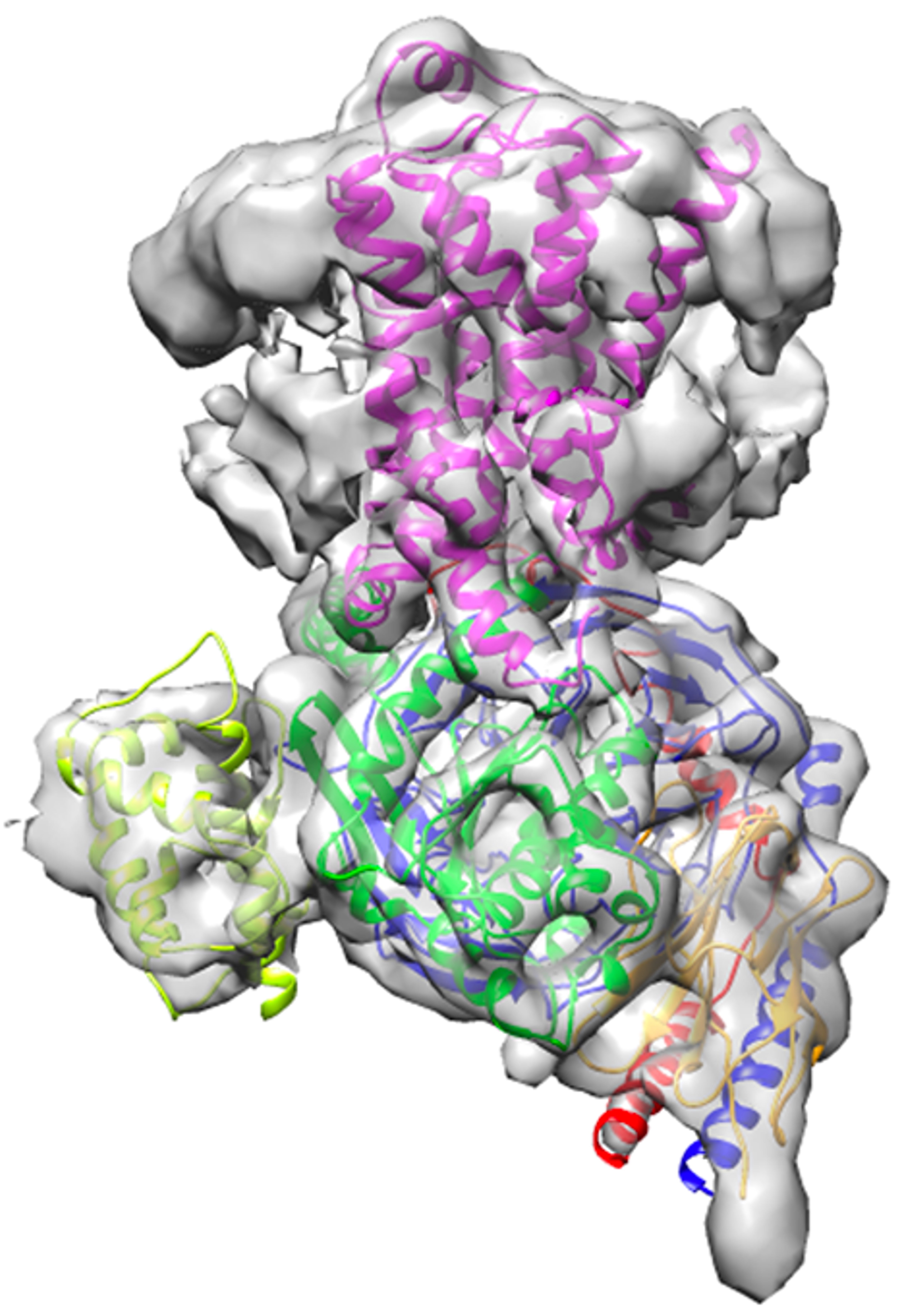 molecule