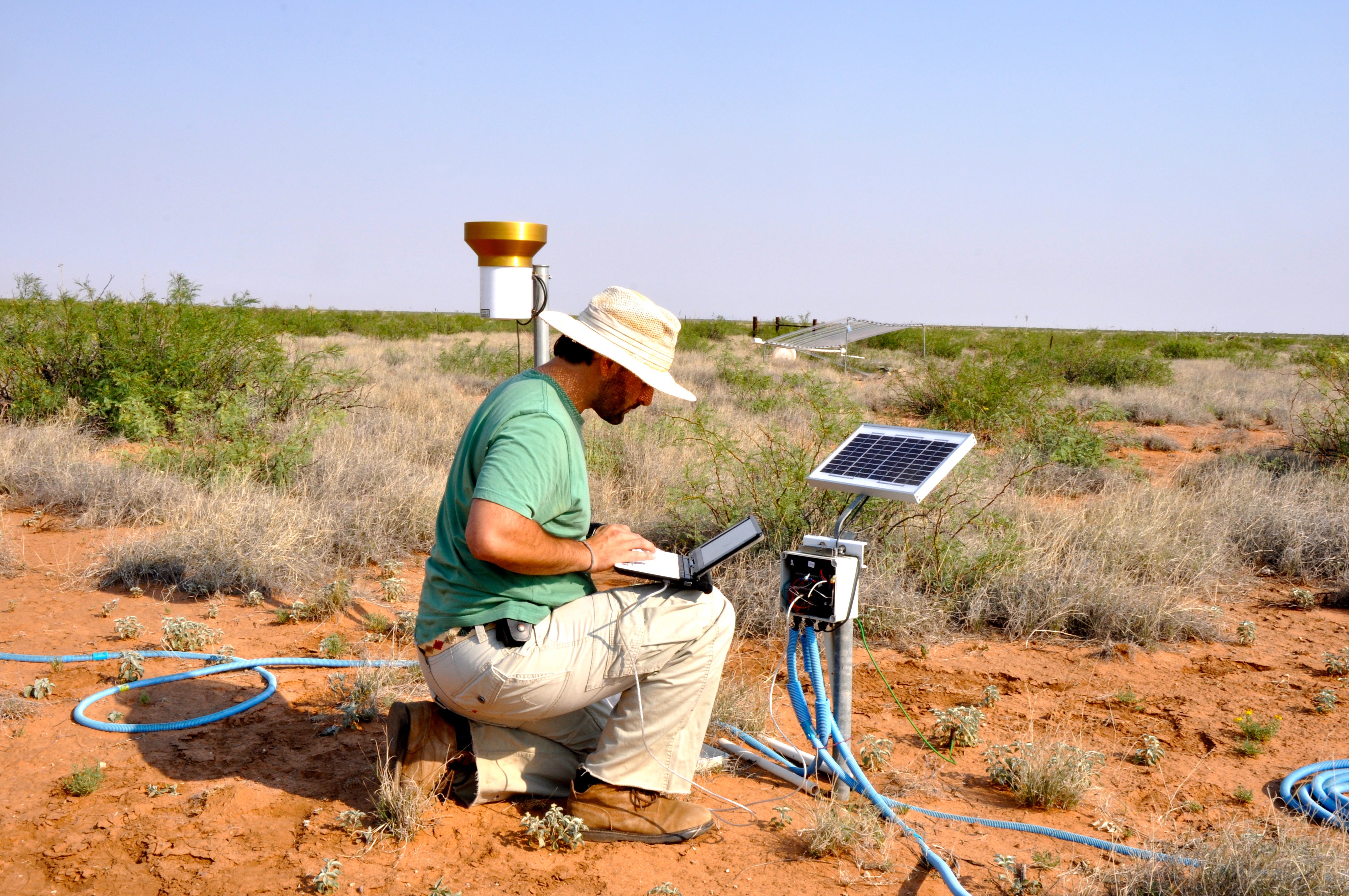 Laureano Gherardi, School of Life Sciences postdoctoral research associate