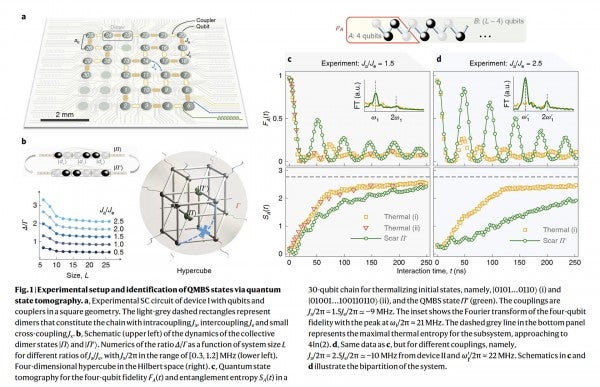 Experimental setup and identification of QMBS states via quantum state tomography