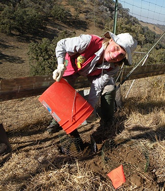 Janet Franklin planting tree seedlings