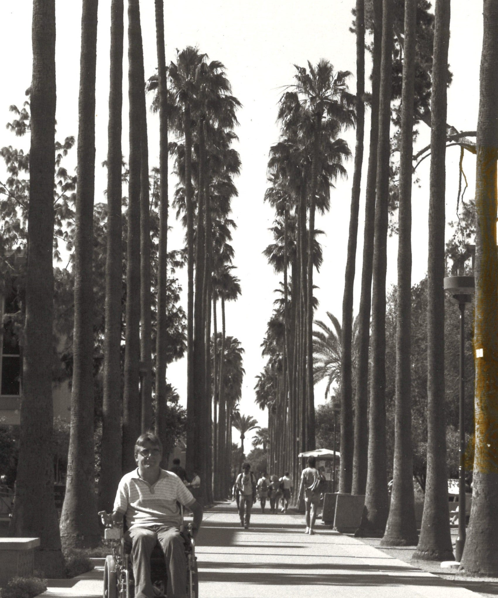 Jim Hemauer on Palm Walk