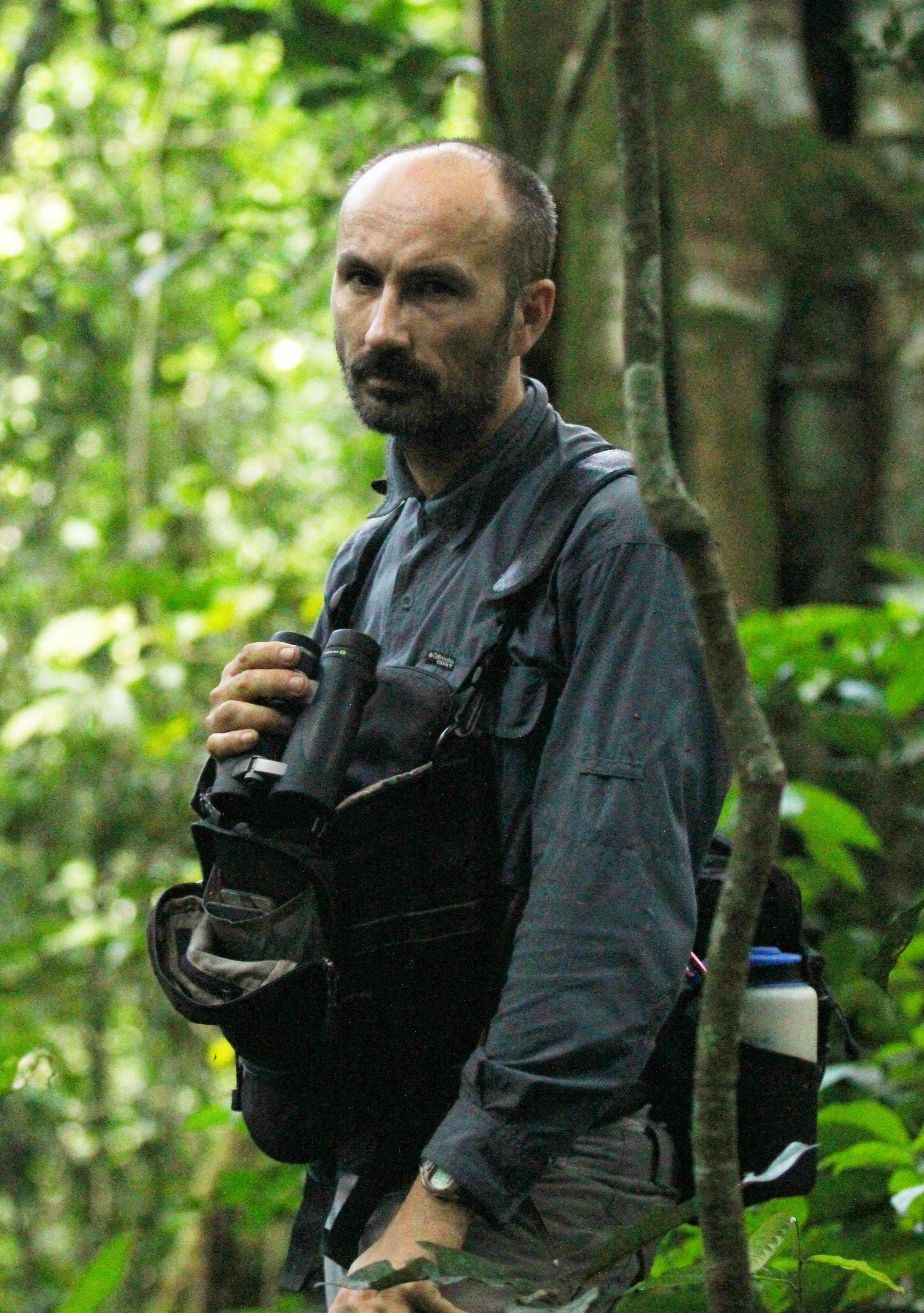 A scientist in a forest.