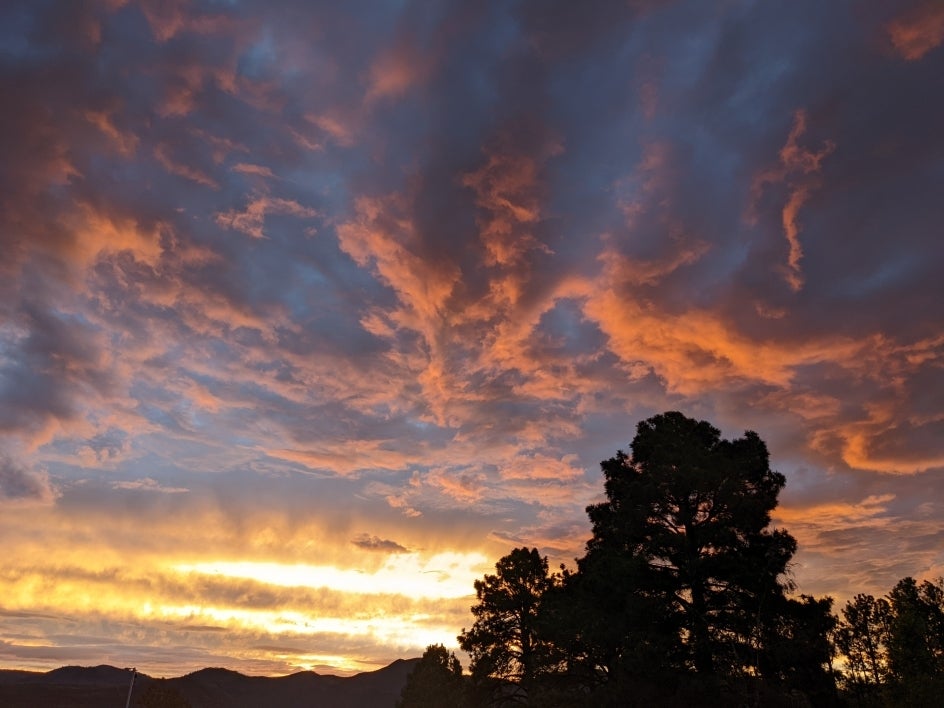 Colorful sunset with a tree silhouetted in the foreground.