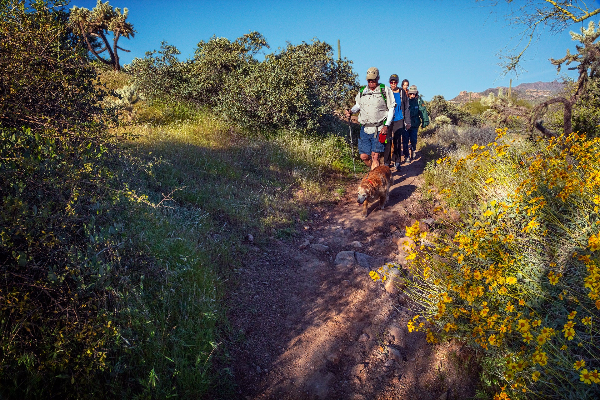 Lost Dutchman State Park, dog hike, Arizona State Parks and Trails