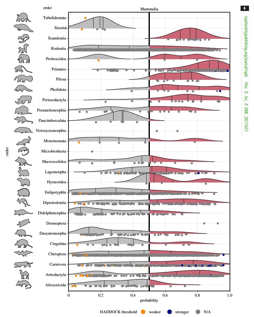 Ridgeline plots showing the distribution of predicted zoonotic capacity across mammals.