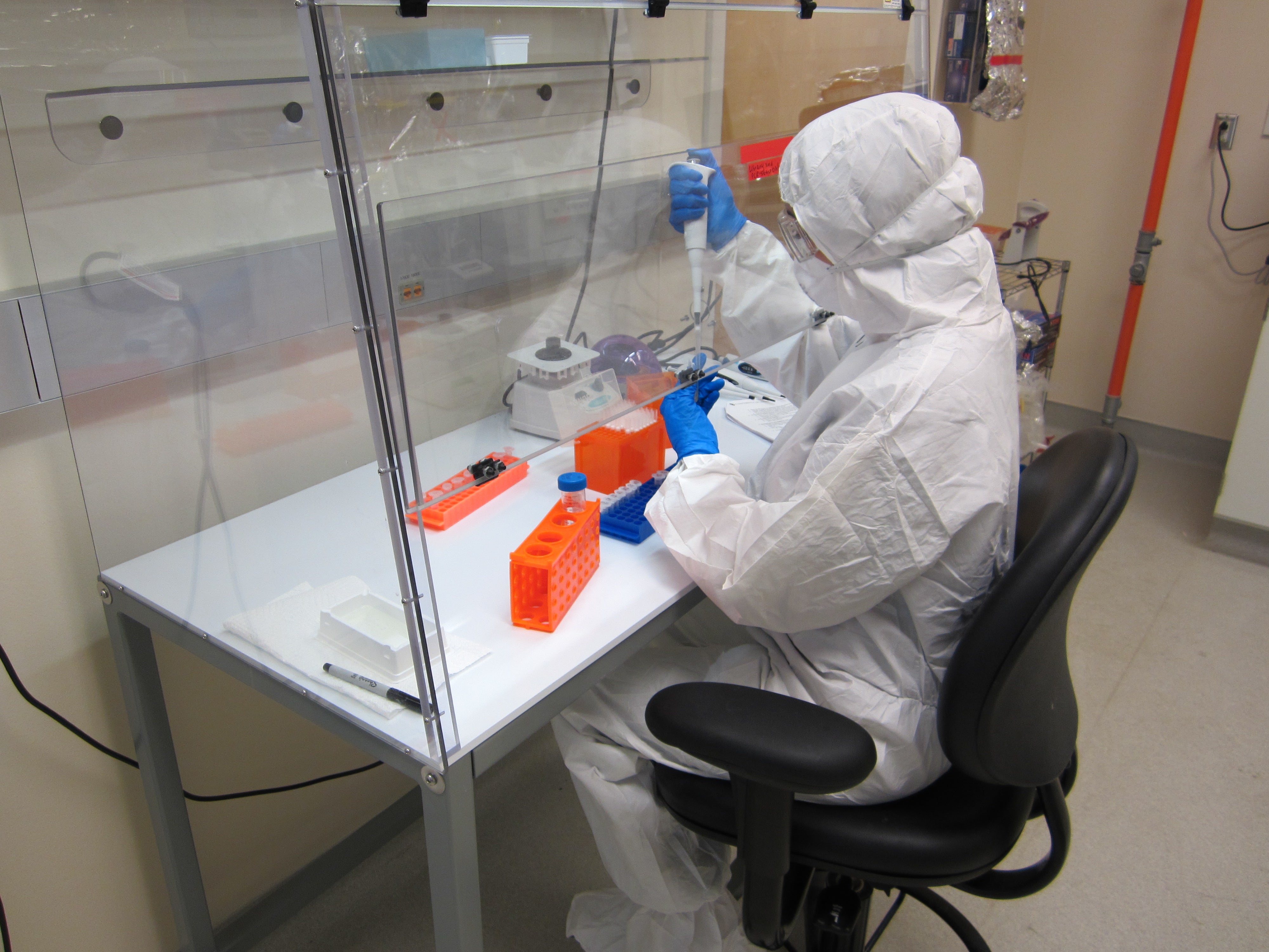 Maria Nieves Colon Prepares a Tooth for DNA Extraction