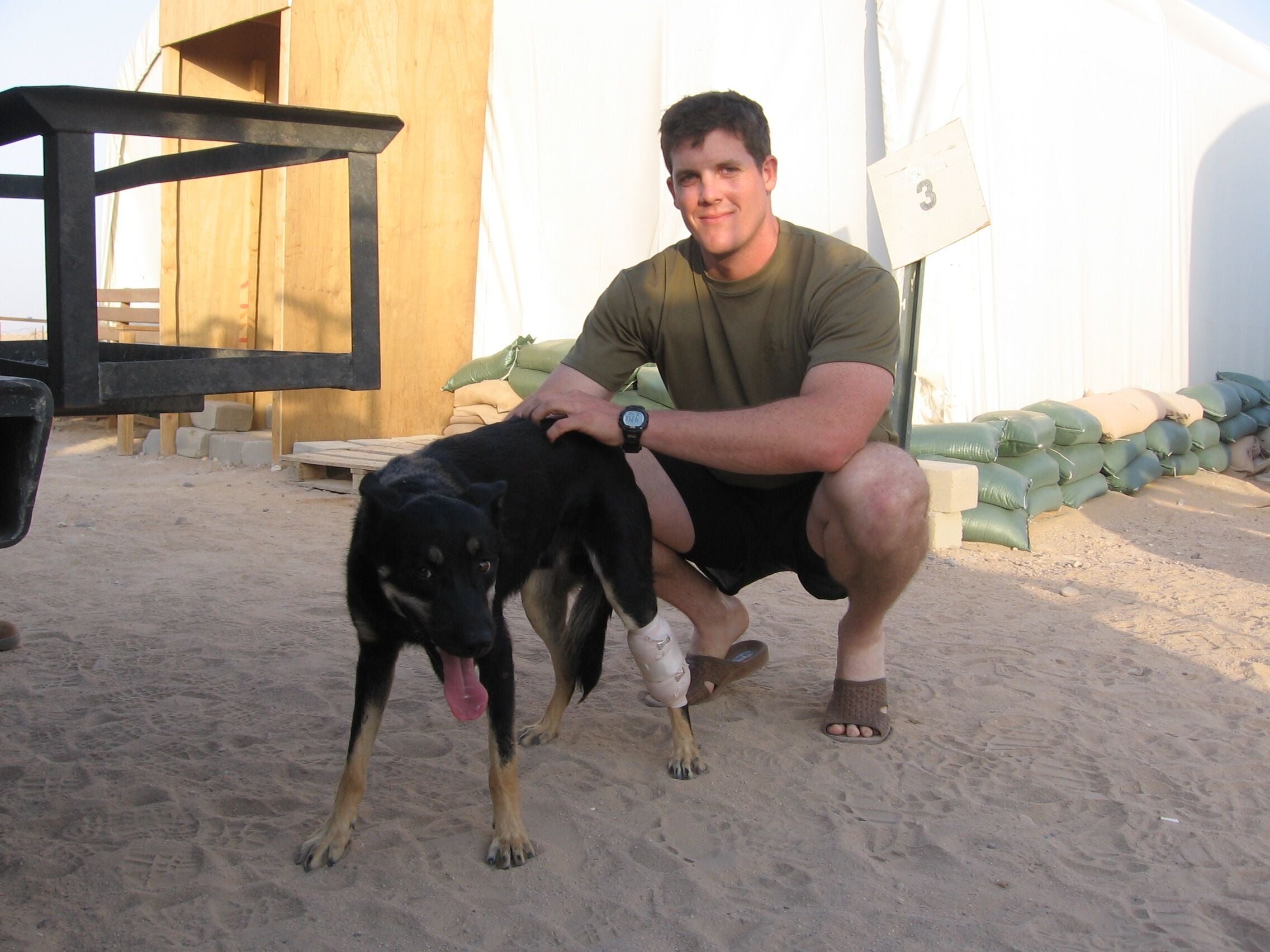 Man petting a dog