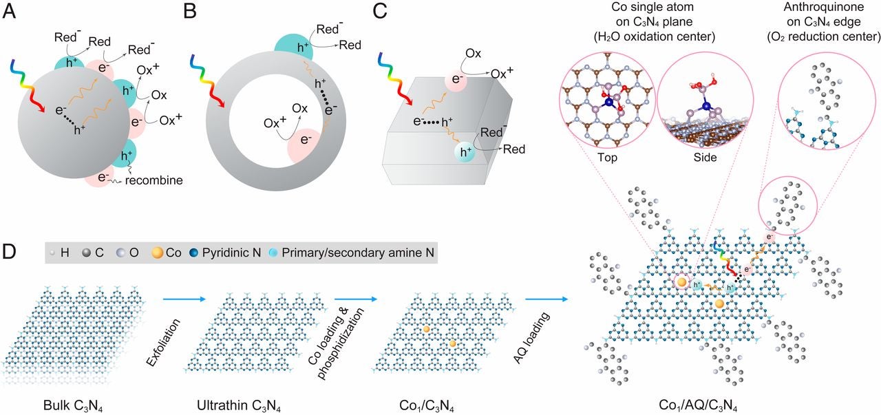 PNAS paper illustration