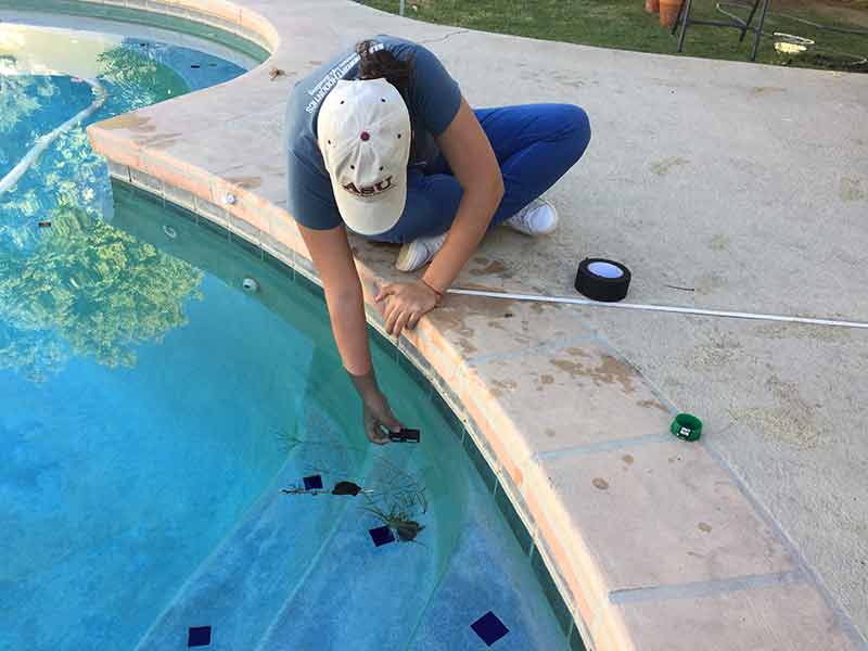 ASU graduate student Edauri Navarro-Perez photographs roots underwater